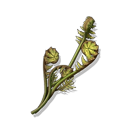 Fern Spore