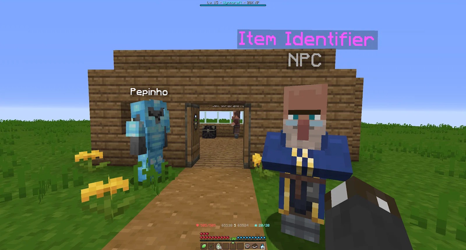 Wynncraft, the Minecraft MMORPG