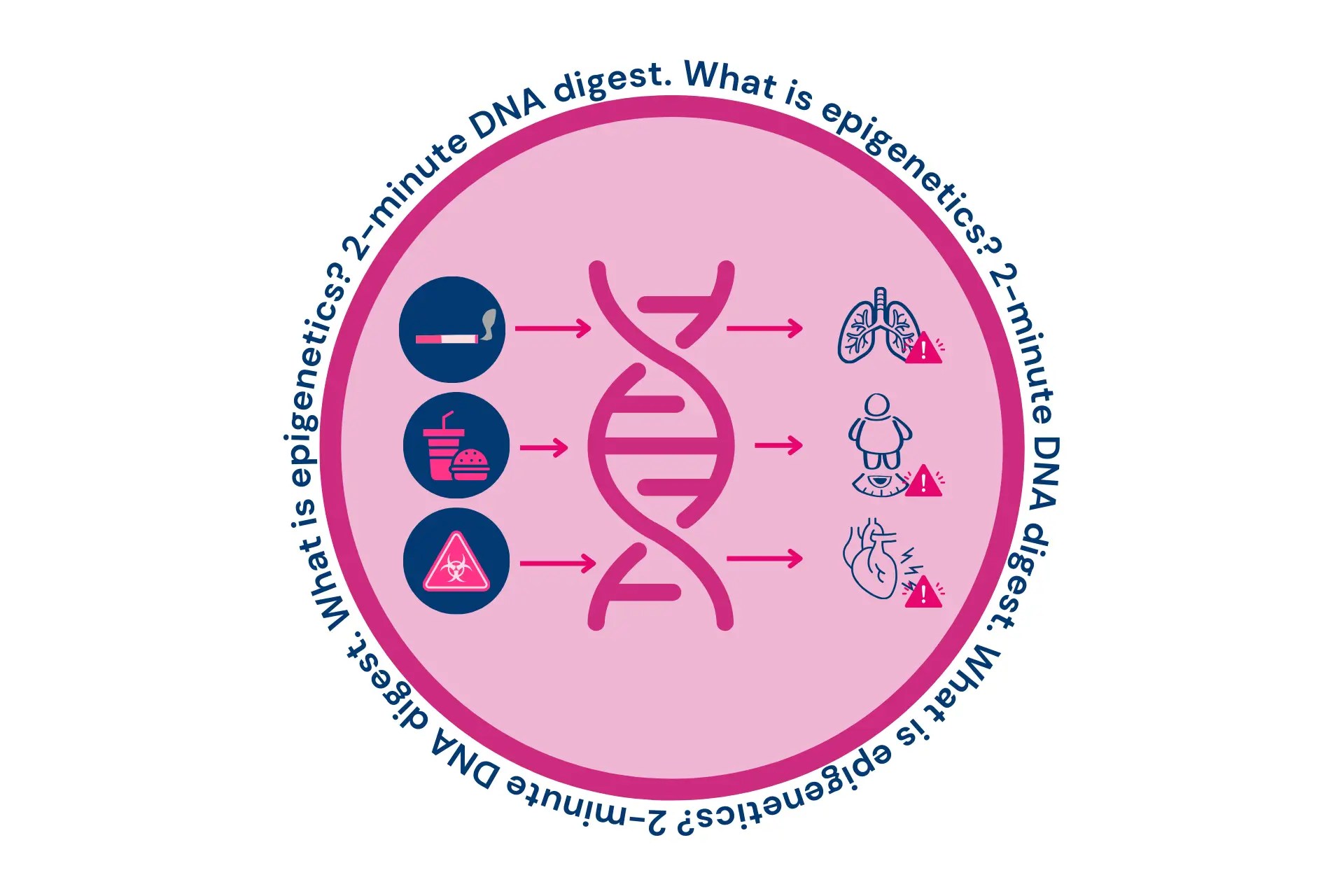 2Minute DNA Digest A Hack Into Your DNA Code Xcode Life