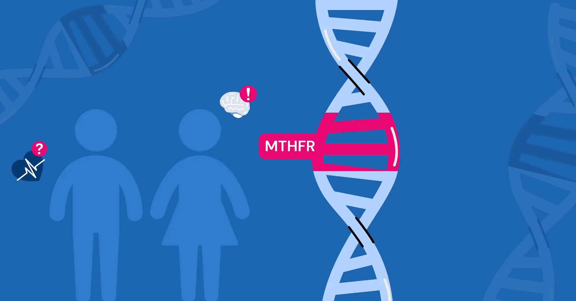MTHFR Symptoms in Children Mutations And Health Impacts