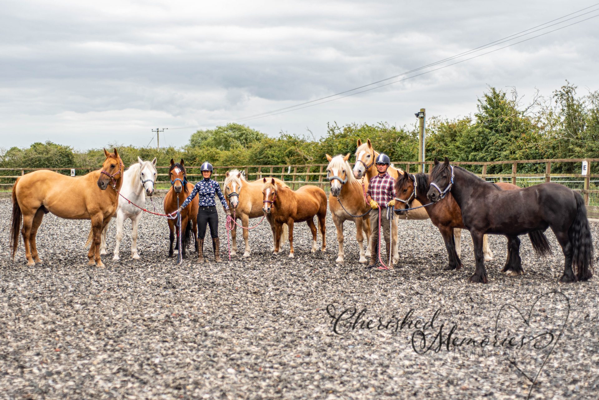 Stickney Riding Centre Boston Lincolnshire Association of British