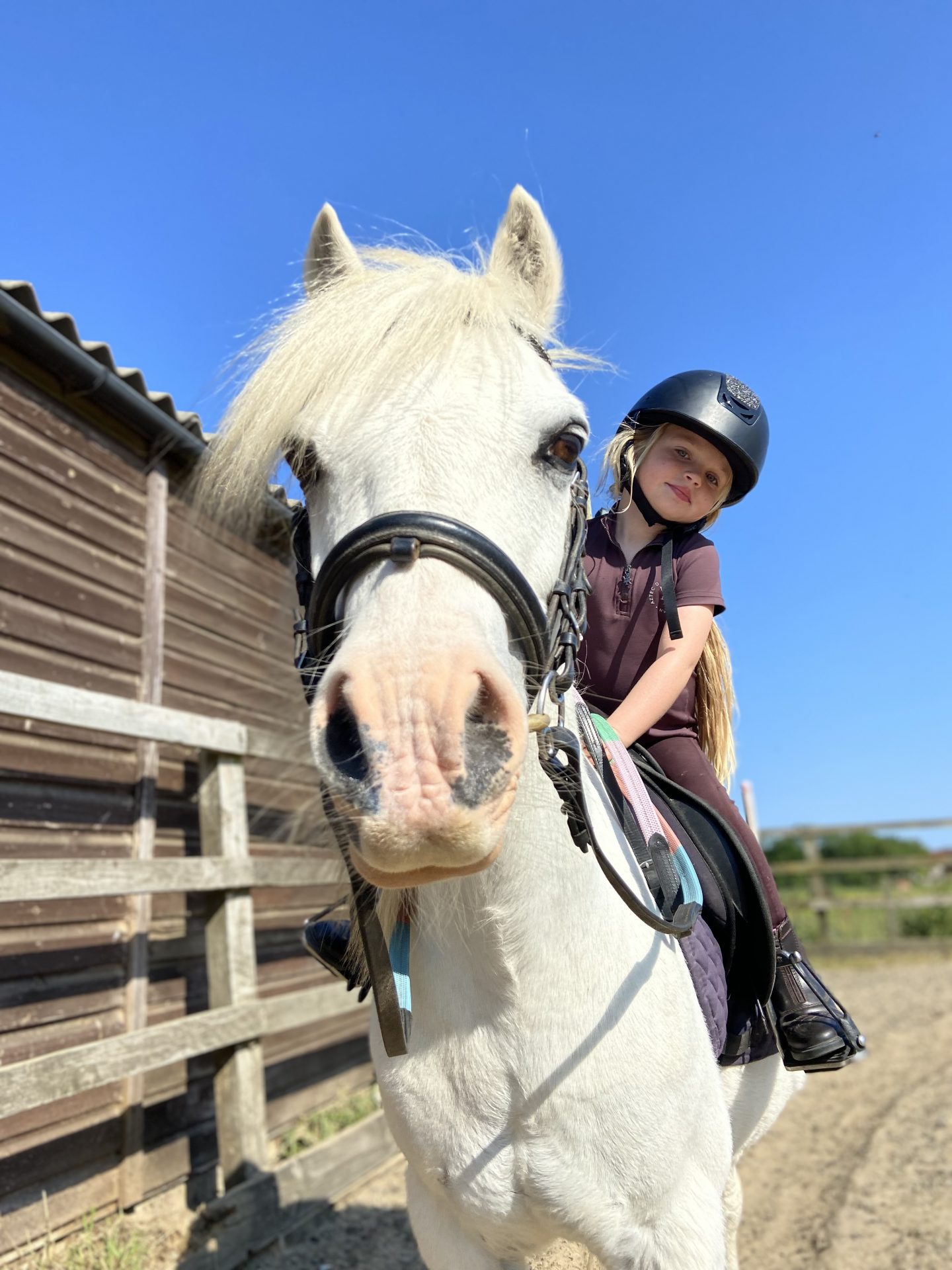 Happy Valley Equestrian Centre, and ABRS+ approved riding centre