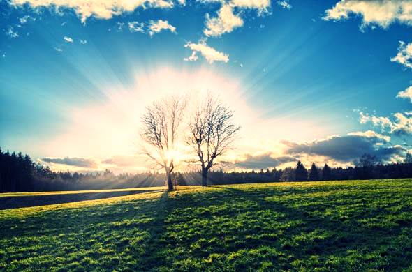 ODB O Glorious Day! YMI