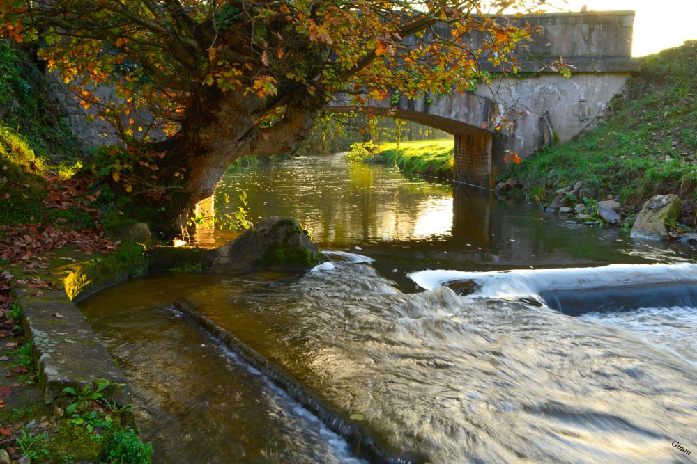 La rivière "Divette " by Creusson on YouPic