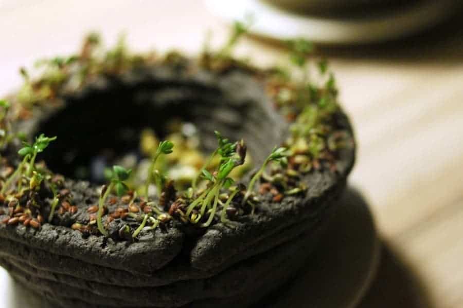 Green 3D Printer Lets You Print With Ink"