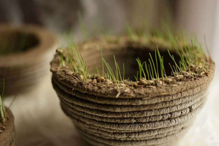 Green 3D Printer Lets You Print With Ink"