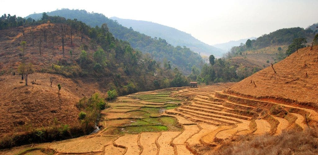Devastating photos of the world's deforestation