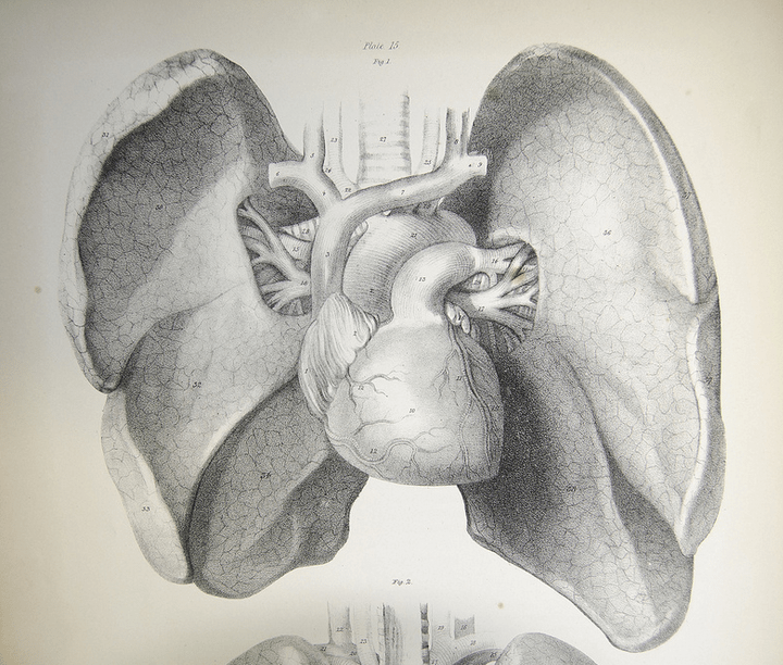 ‘Heart in a Box’ a Big Step Forward for Organ Transplants