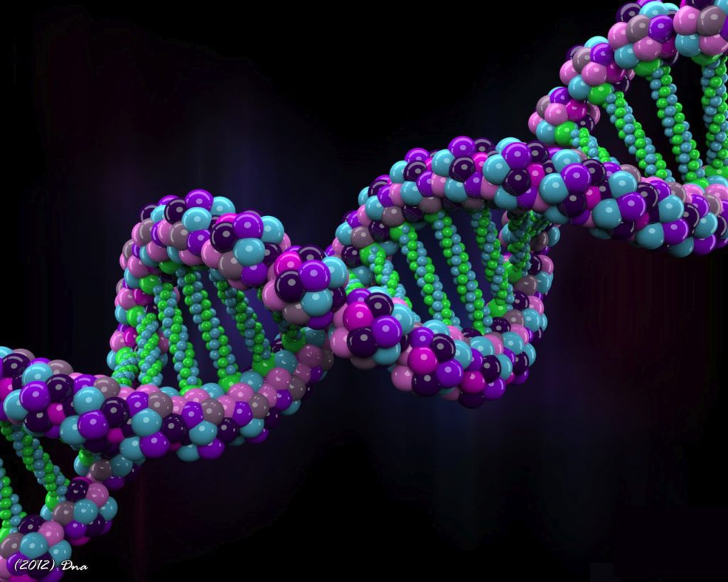 Leading scientists will synthesize human genomes from scratch by 2026