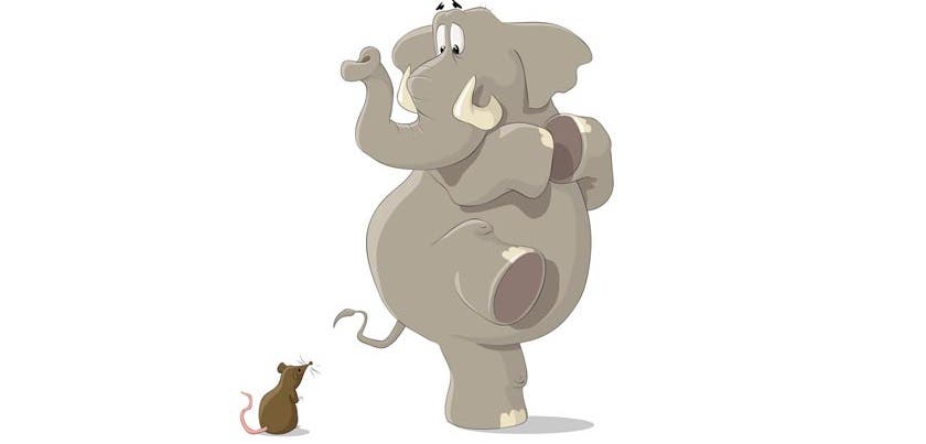 Are elephants really frightened by mice?