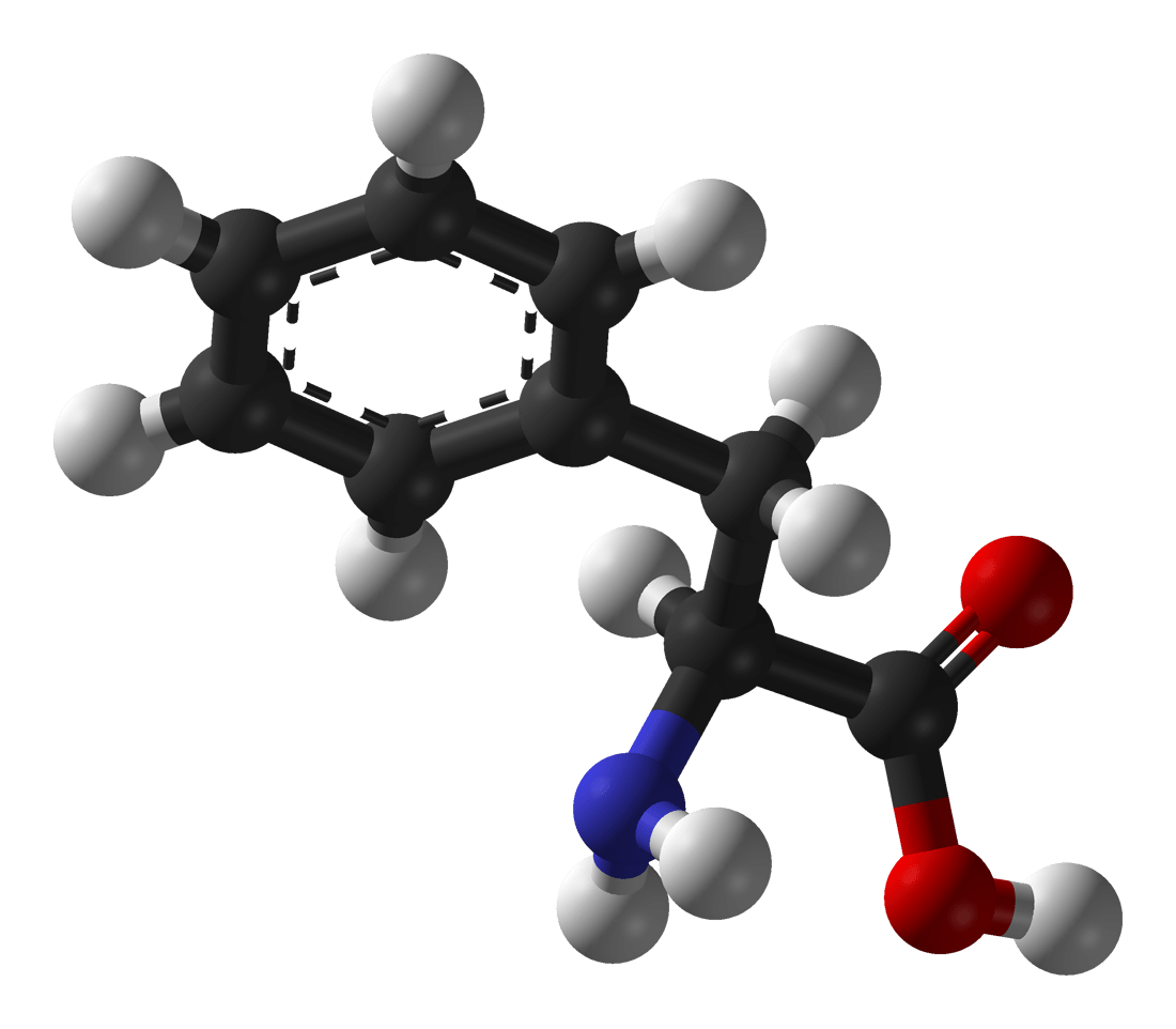 Scientists show how a highprotein diet can help you lose