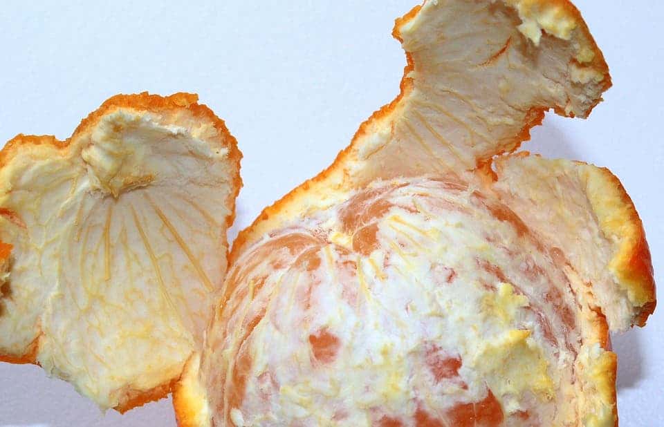 Juice company dumped orange peels in Costa Rican national park in the
