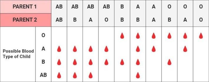 What is the most common blood type?
