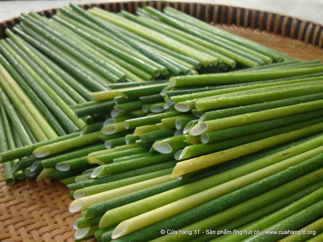 Sustainable, edible straws made from wild grass are zerowaste alternative