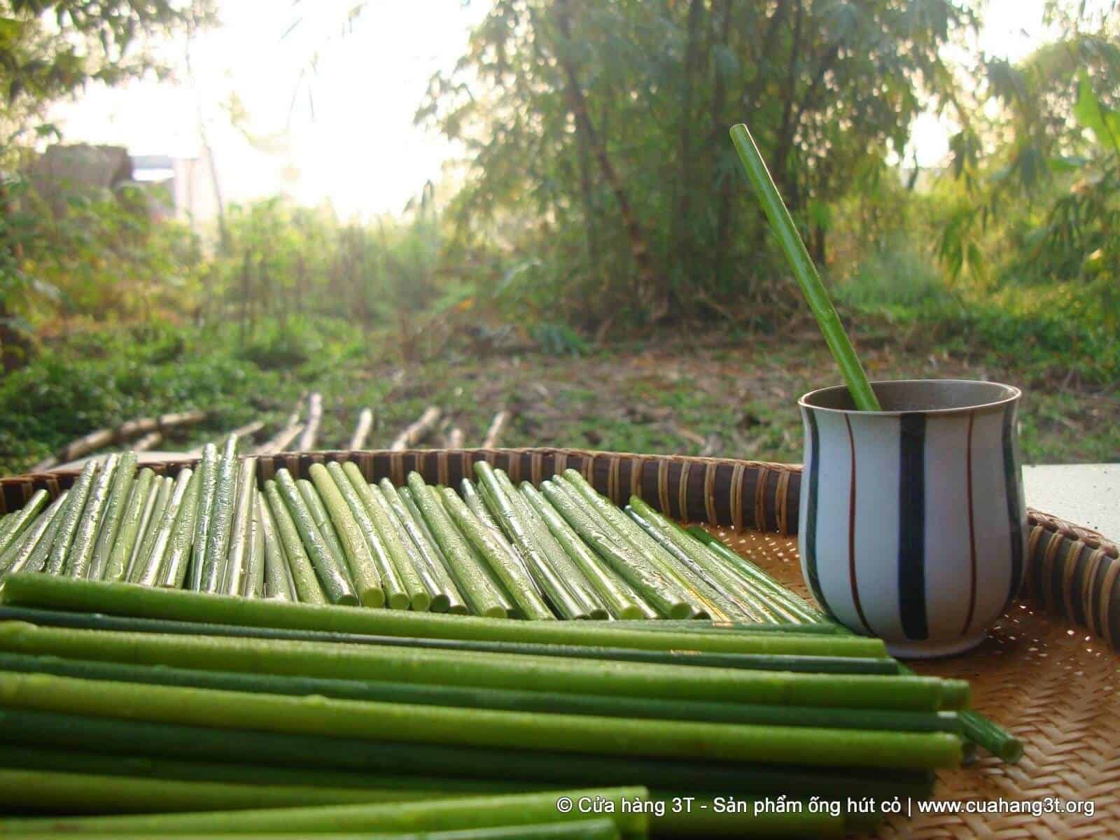 Sustainable, edible straws made from wild grass are zerowaste alternative
