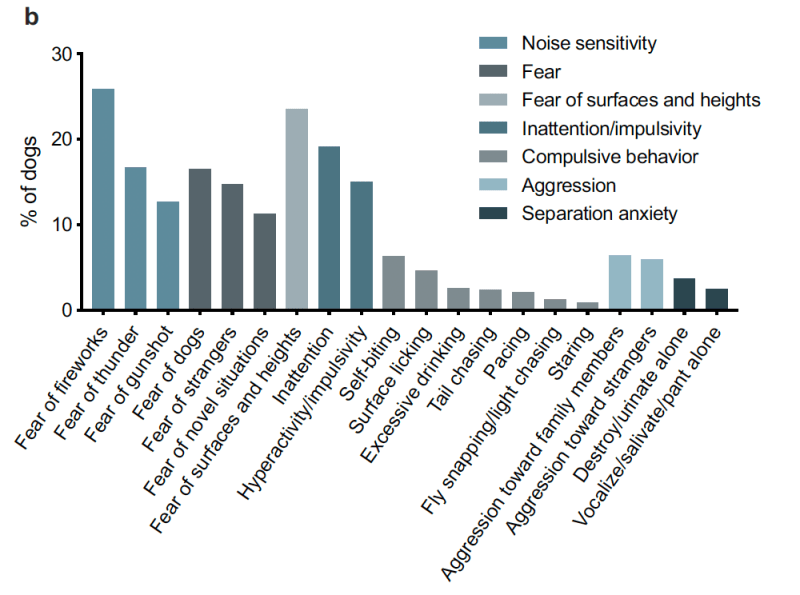 3 out of 4 dogs suffer from some form of anxiety, and owners should be