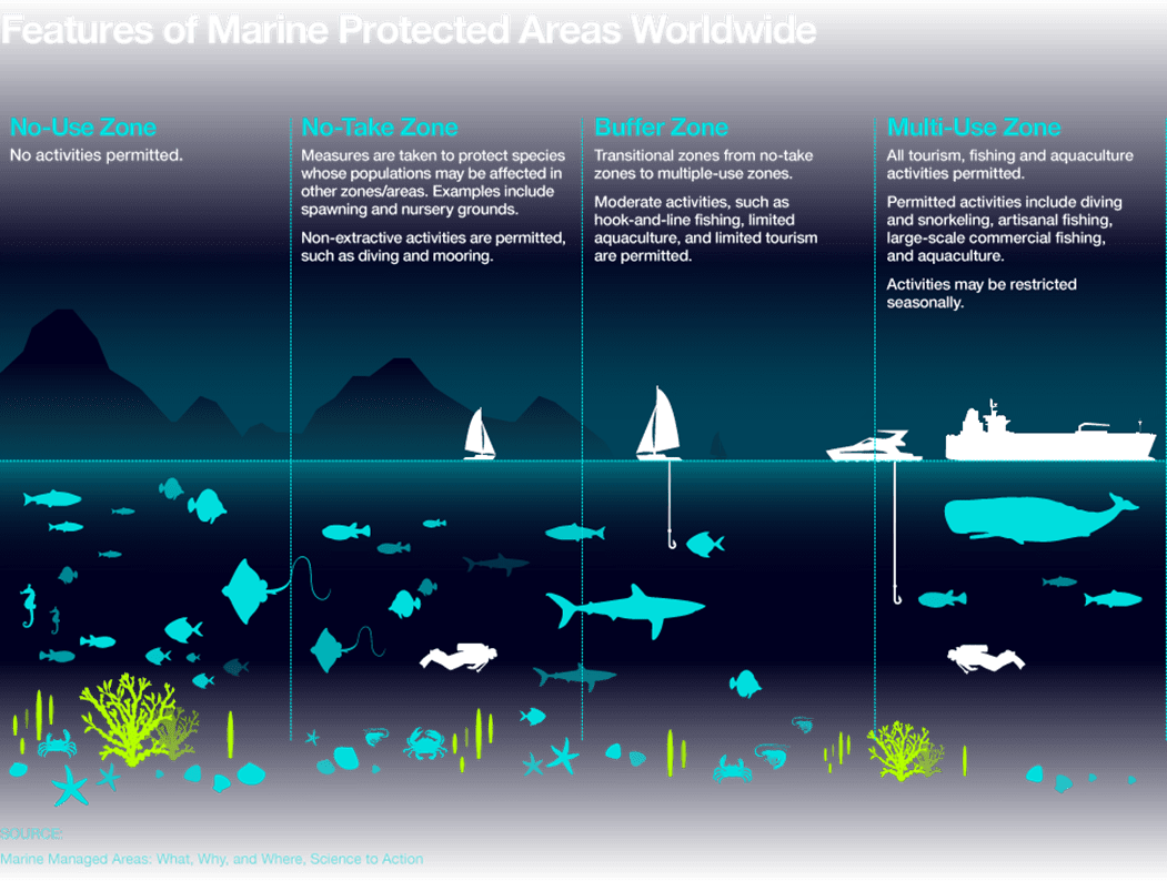 Marine Protected Areas An update on the research