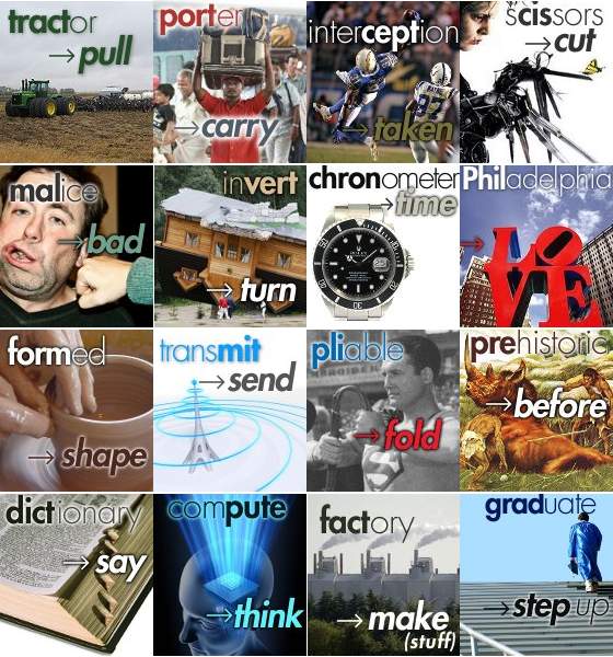 Word Root Of The Day fifty Membean