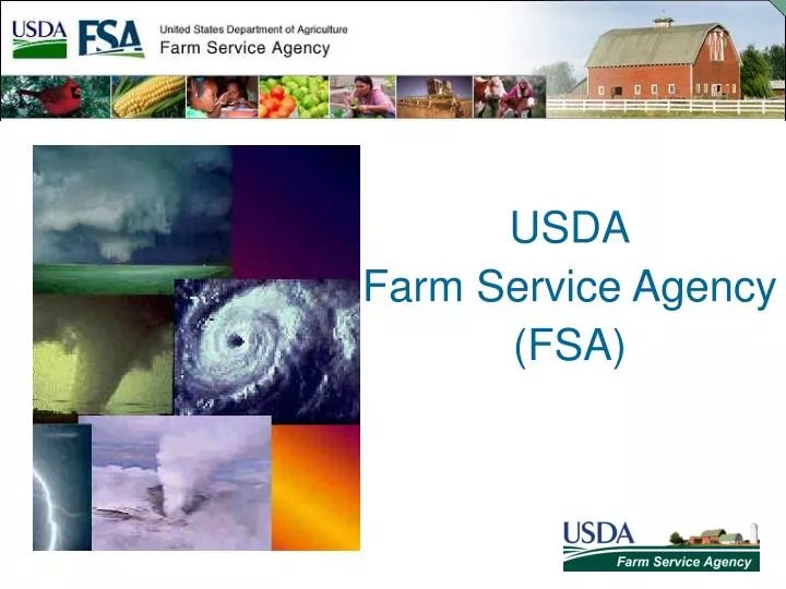 PPT USDA Farm Service Agency (FSA) PowerPoint Presentation, free