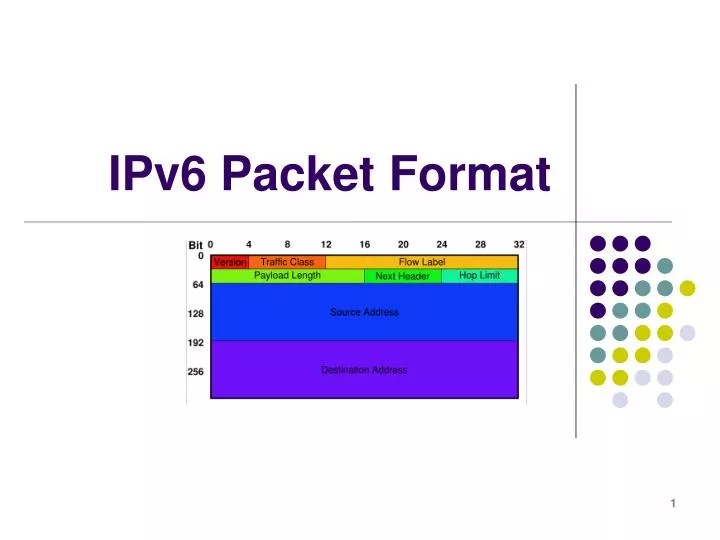 PPT IPv6 Packet Format PowerPoint Presentation, free download ID450820