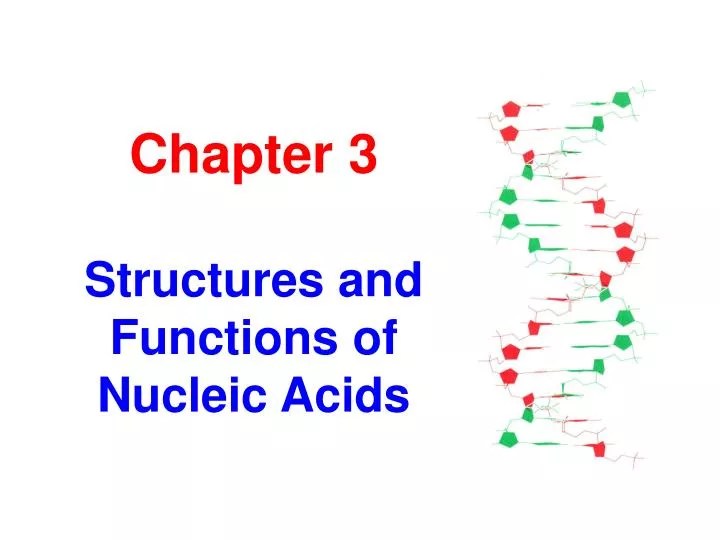 PPT Chapter 3 Structures and Functions of Nucleic Acids PowerPoint