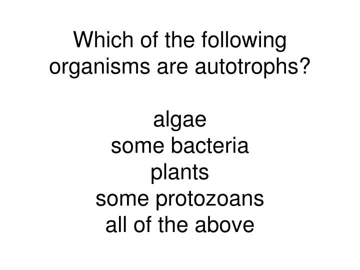 PPT Which of the following organisms are autotrophs? algae some