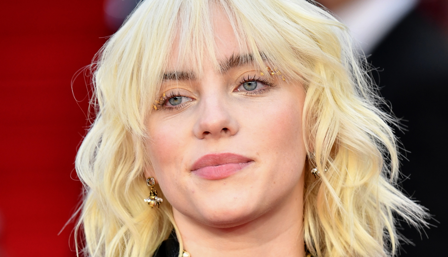 Billie Eilish Asked Fans to Reconsider Eating Turkey on Thanksgiving