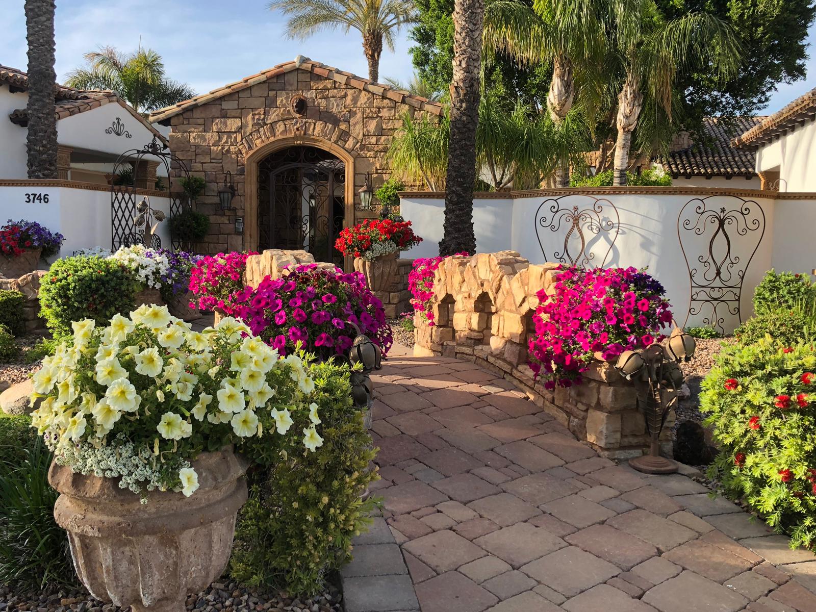 Take A Look At How Pretty The Flowers Are In Arizona This Time Of The Year!