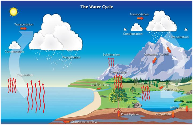 Water Cycle Process and its Various Stages