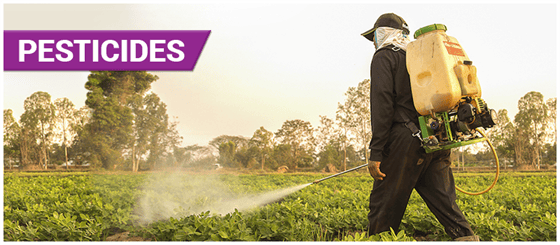 Pesticides Definition, Types, Uses, and Harmful Effects
