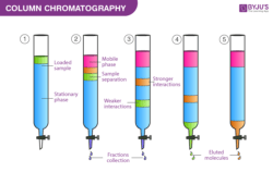 Chromatography Principle and its Types - Definition, Principle, Types