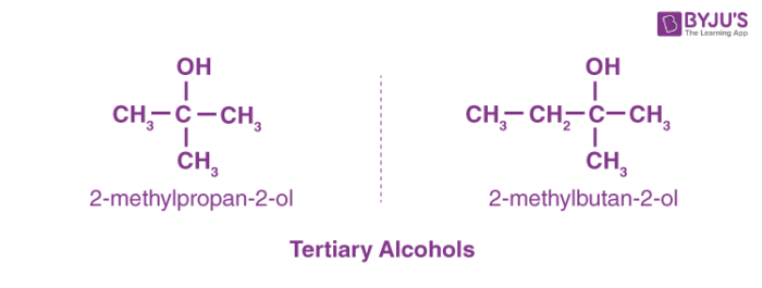 Types of Alcohols Primary, Secondary & Tertiary Alcohols