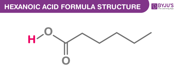 Hexanoic acid Formula Chemical Formula, Structure And Properties