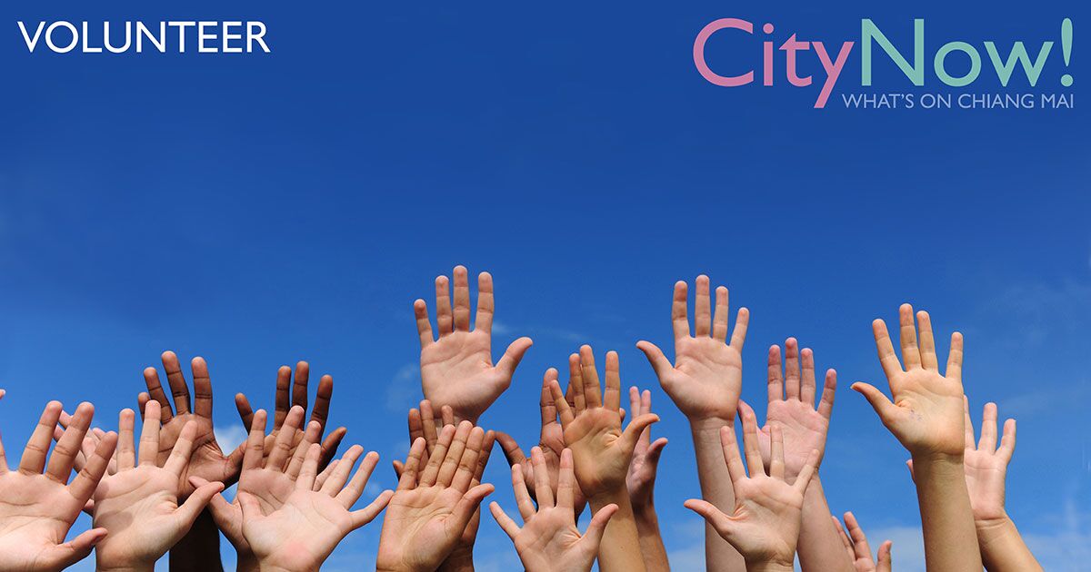 Volunteer Opportunties In Davis County During Christmas 2023 Volunteering opportunities in Chiang Mai CityNow!