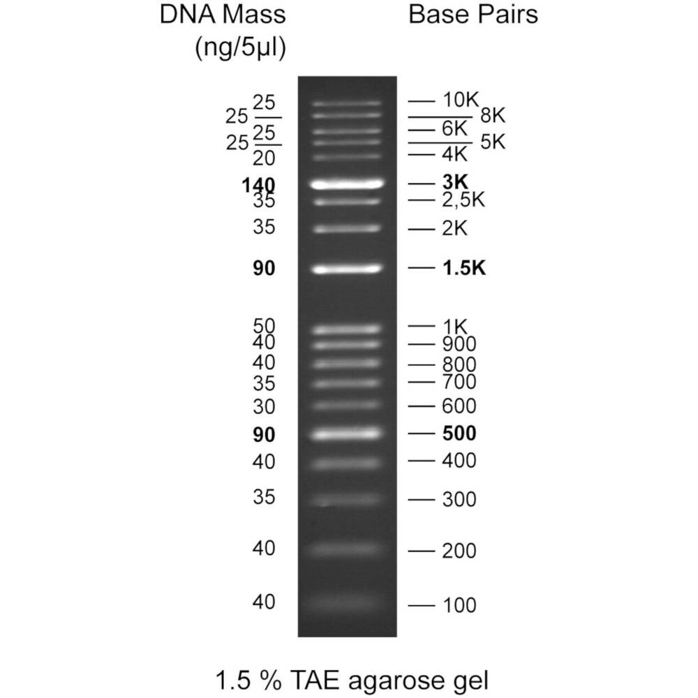 DNA Ladders Cleaver Scientific