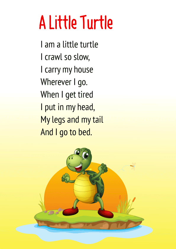 A Little Turtle Poem for Class 1 Poem on Animals in English