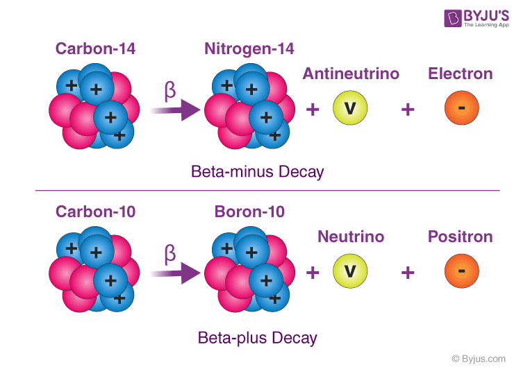 Radioactivity Beta Decay (Updated for 20212022