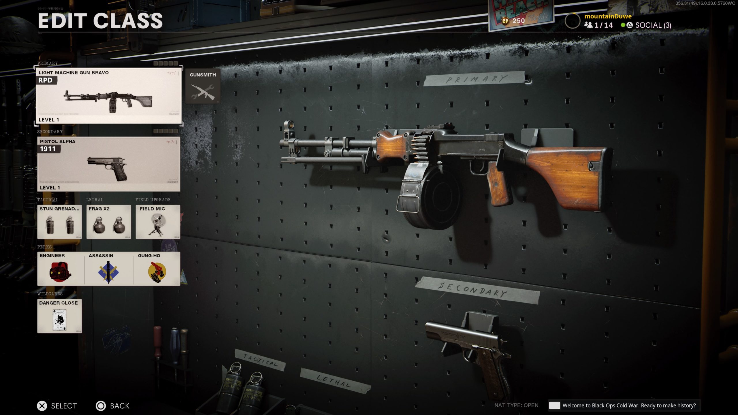 The best RPD loadouts in Call of Duty Black Ops Cold War