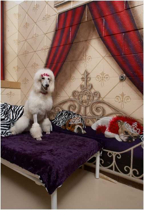 Nemacolin Woodlands Resort Plans Silver Anniversary Wooflands