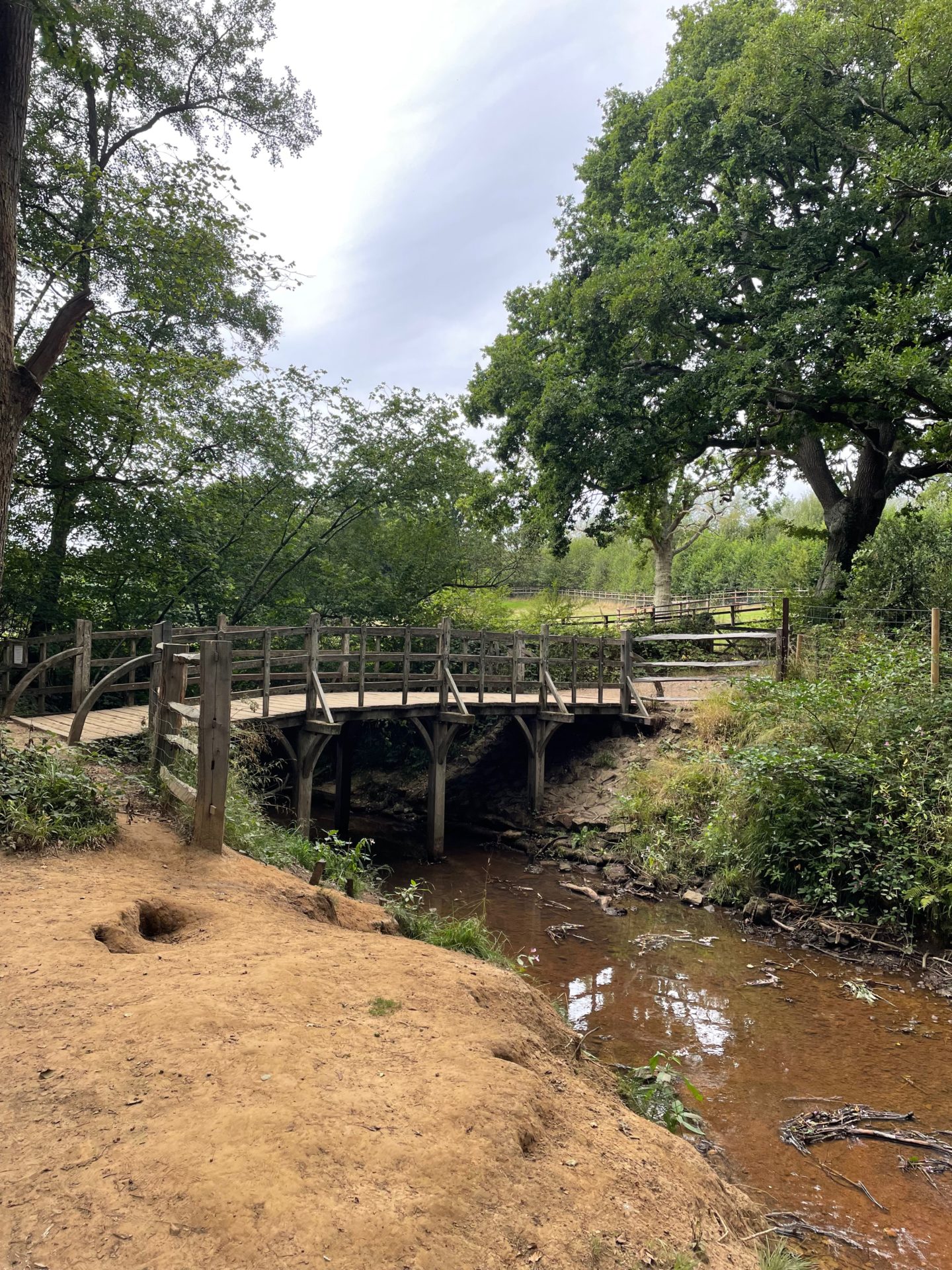 Winnie The Pooh Walk In Ashdown Forest