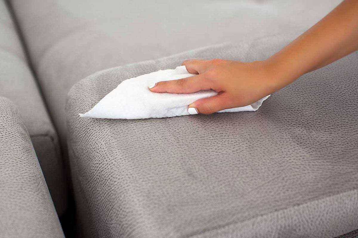 How to Get Pee Smell Out of Couch Homewares Insider