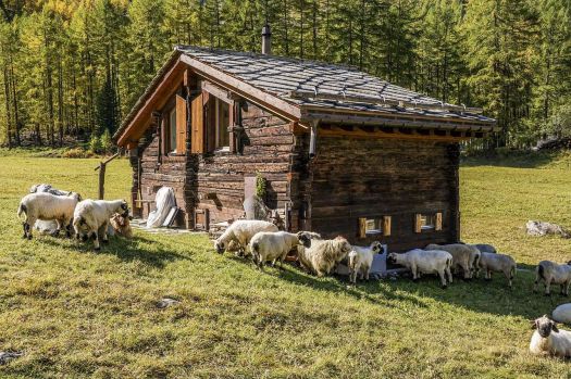 Solve alpinehut jigsaw puzzle online with 54 pieces