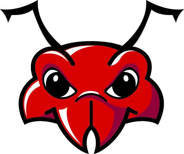 USC Sumter Baseball LockerDome