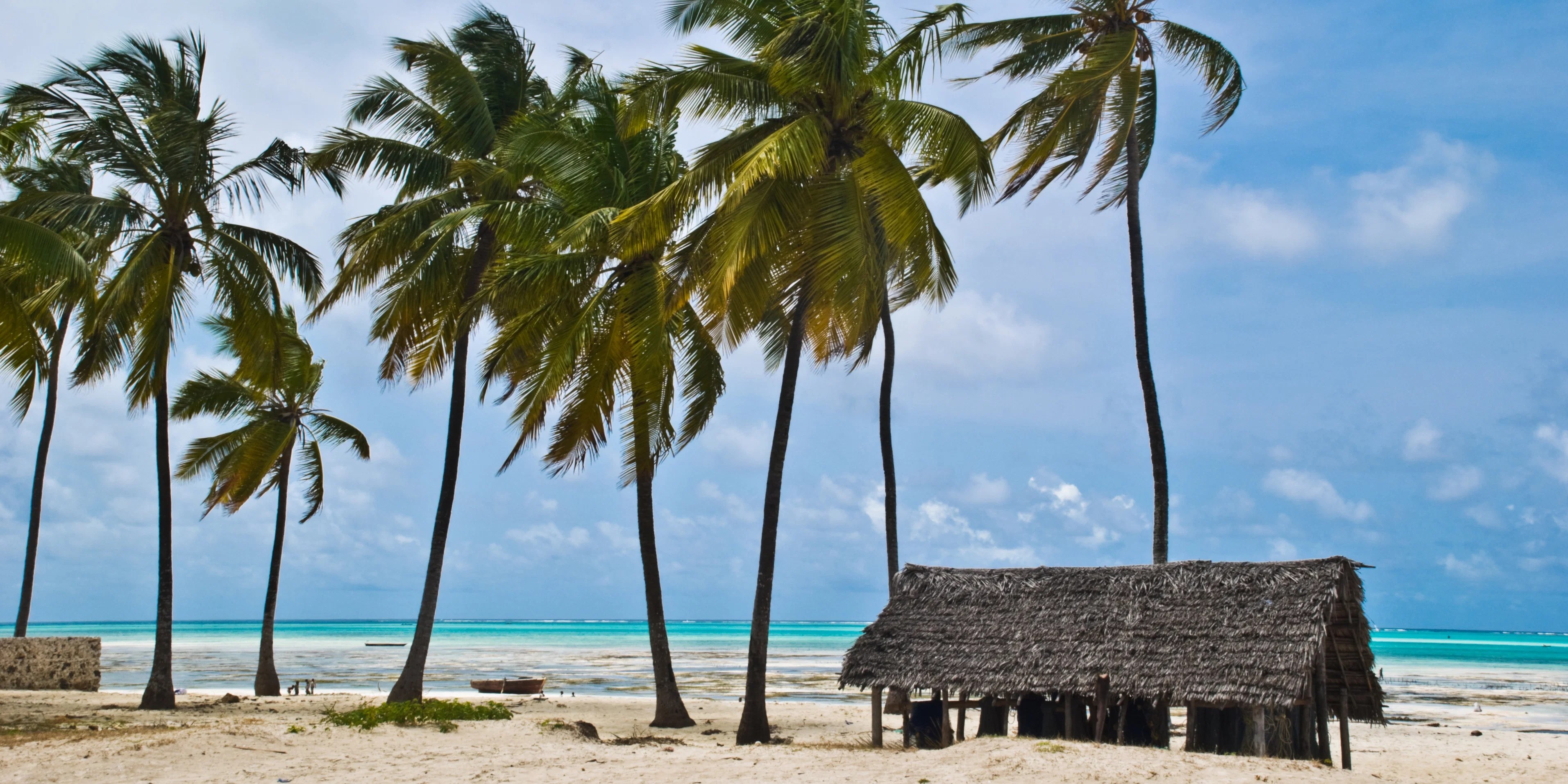 12 Jours Safari Trésors de Tanzanie + Extension Zanzibar