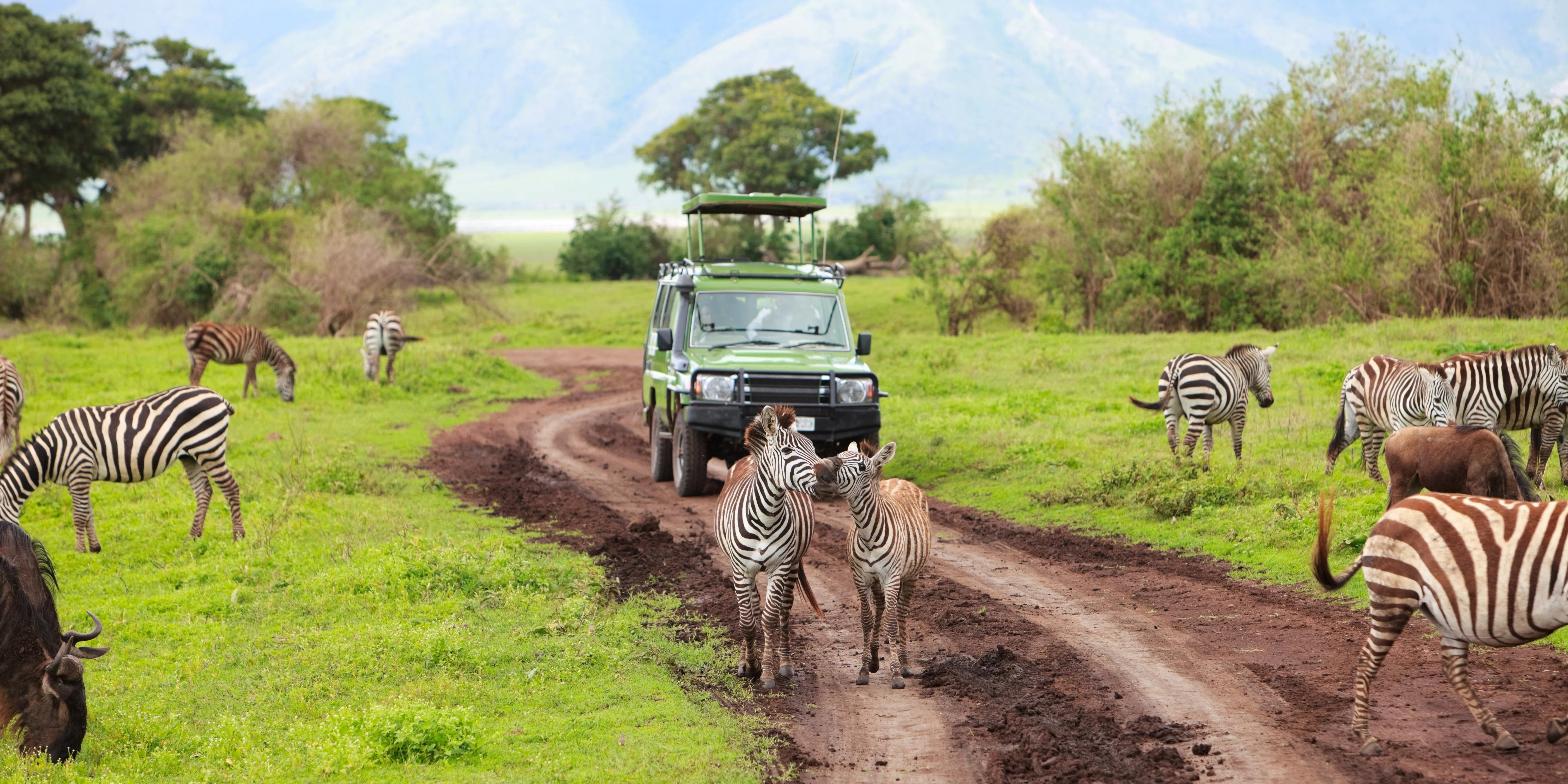 12 Jours Safari Trésors de Tanzanie + Extension Zanzibar