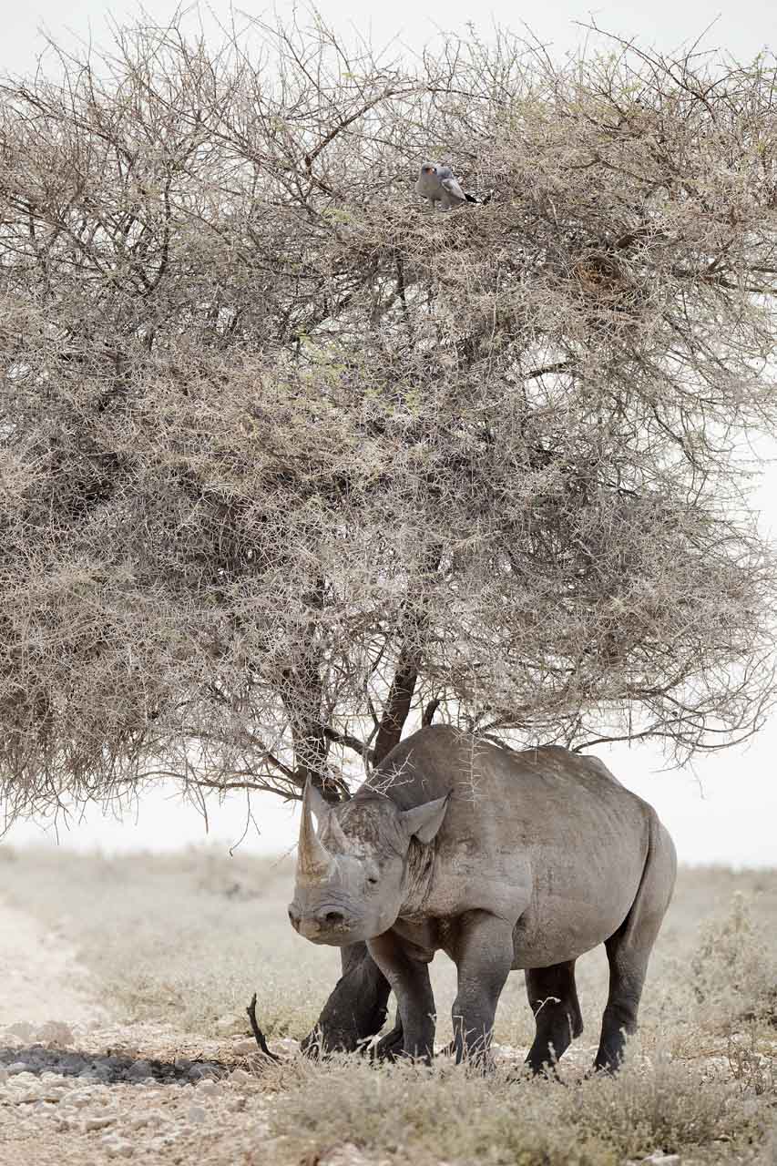 25 Photos From Namibia We Can't Stop Looking At