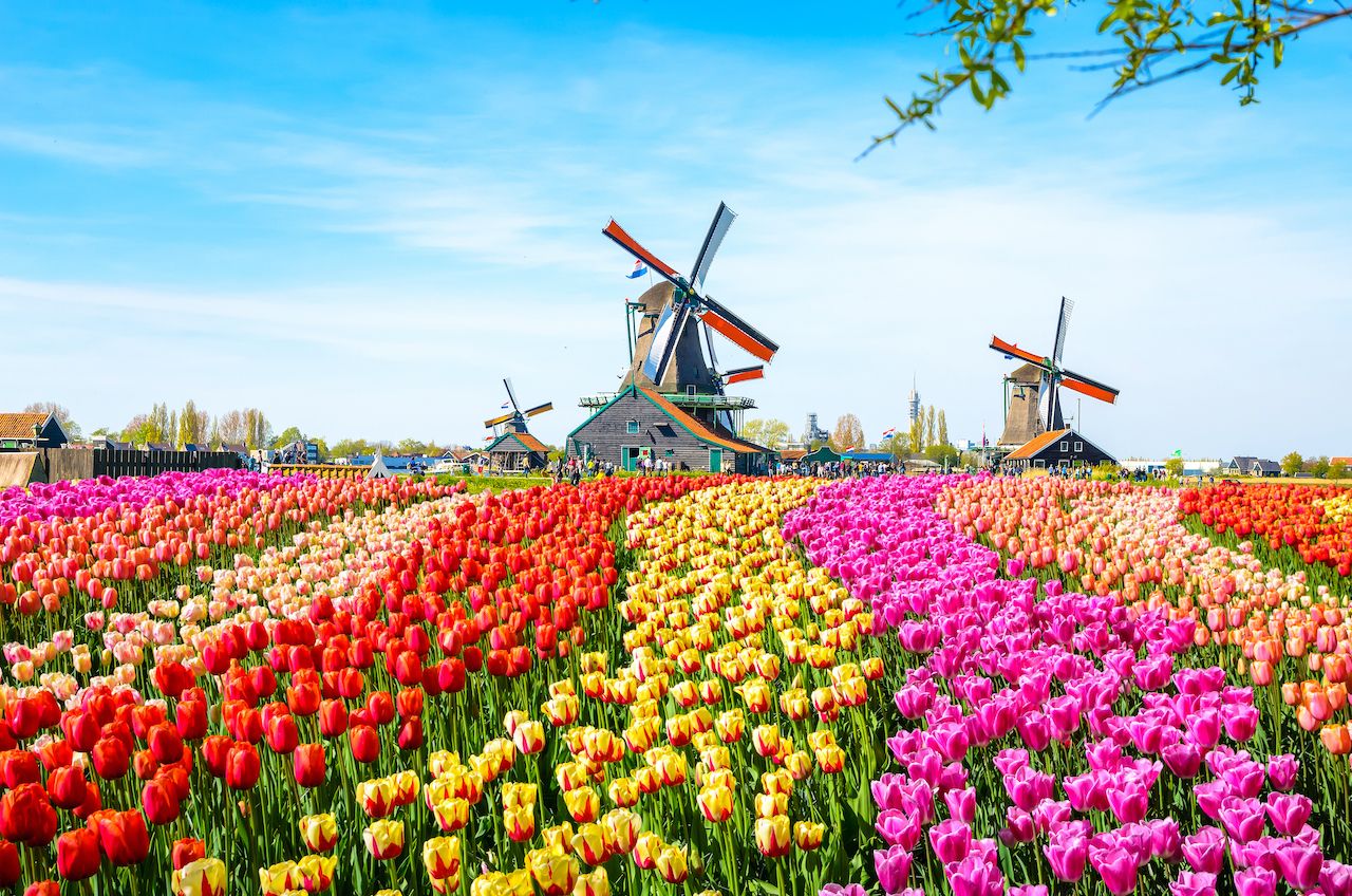 75 Places so Colorful It's Hard to Believe They're Real [Pics]