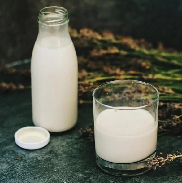 Leche de Almendras Receta Casera, Beneficios y Dudas Frecuentes