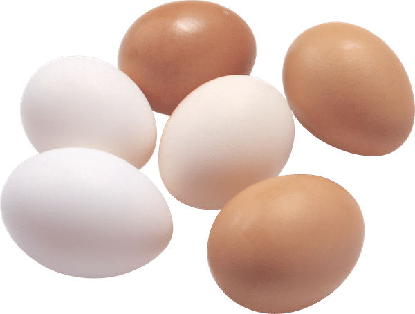 What Is MuscleEgg? MuscleEgg Egg Whites