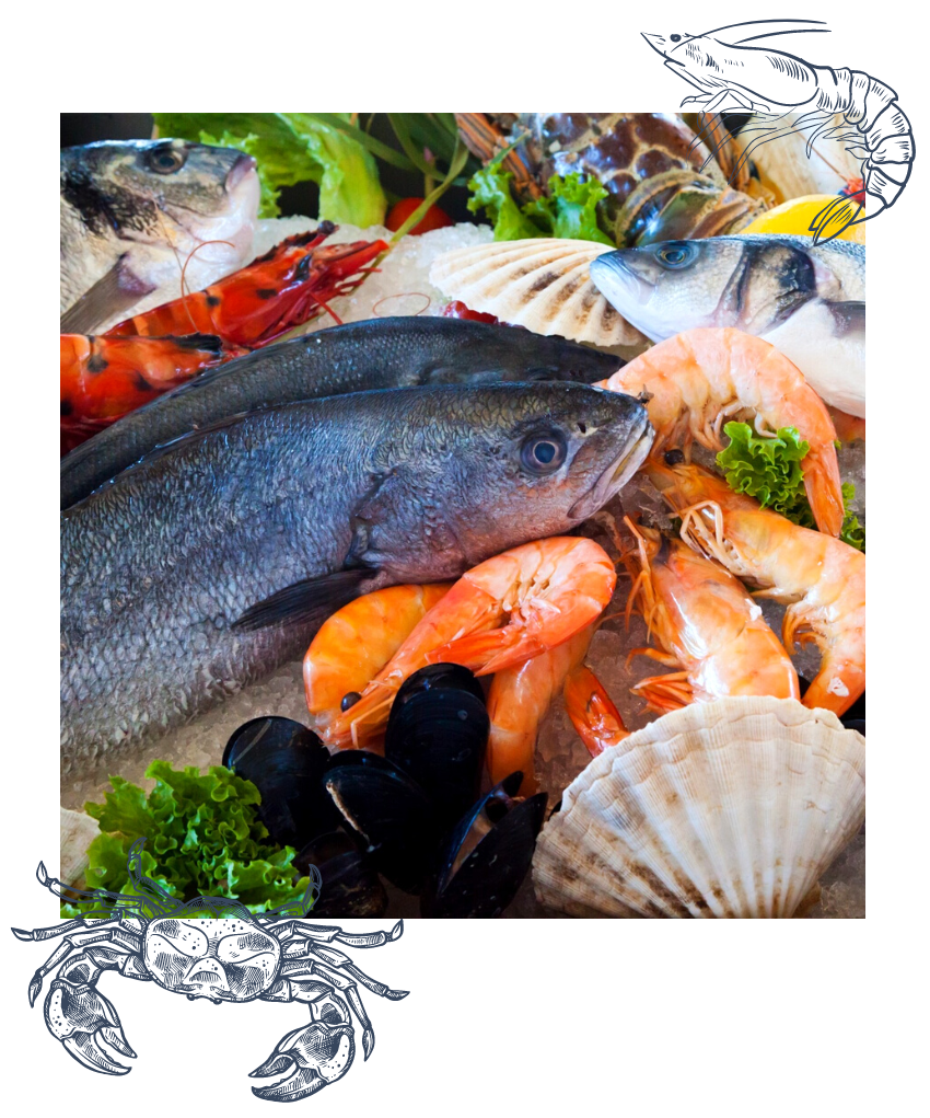Frozen Seafood Processing KL, Halal Seafood Supplier Selangor